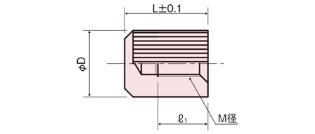 NBNT-300NB