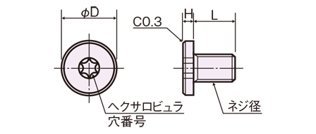 PSHS-0300