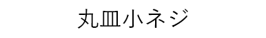 丸皿小ネジ